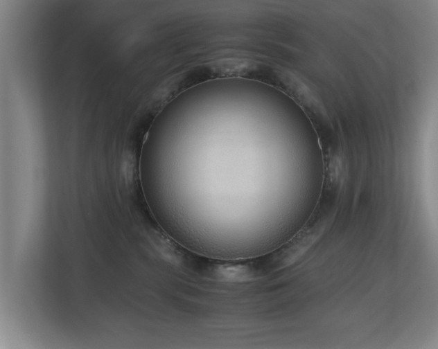 X0000110950283200906191257