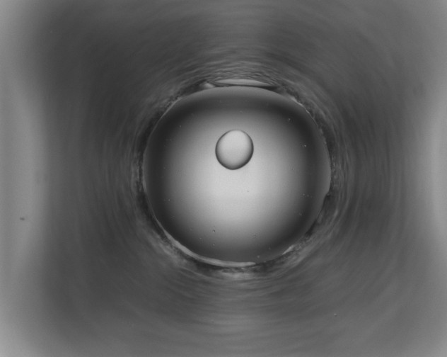 X0000110950284200906191257