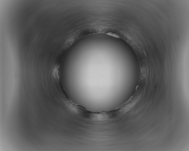 X0000110950286200906191257