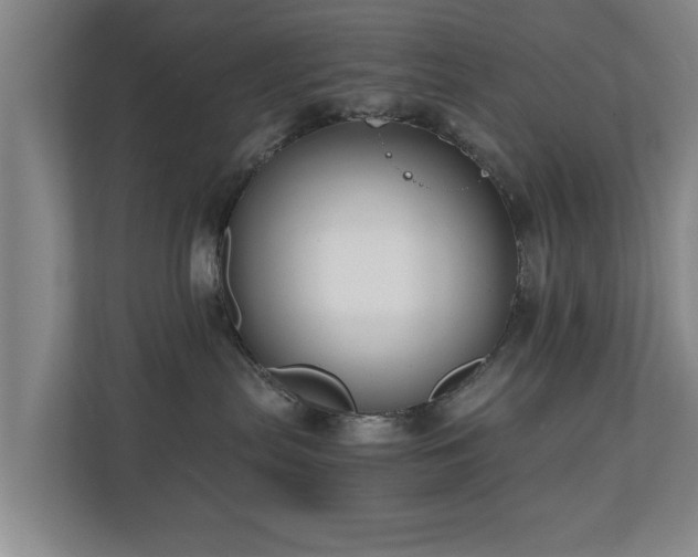 X0000110950287200906191257