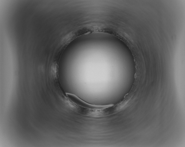 X0000110950288200906191257