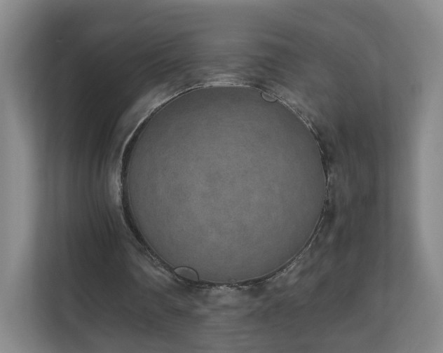 X0000110950290200906191256