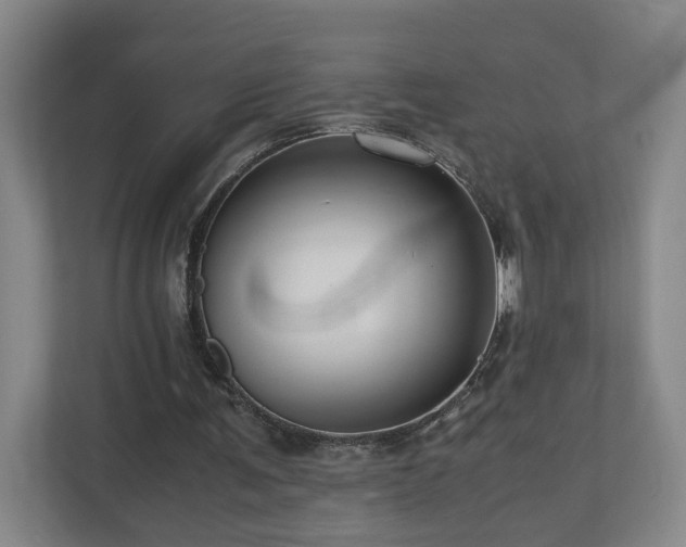 X0000110950291200906191256