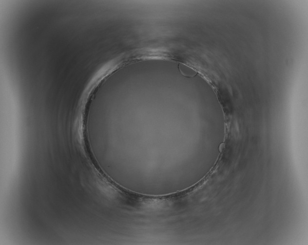 X0000110950293200906191256