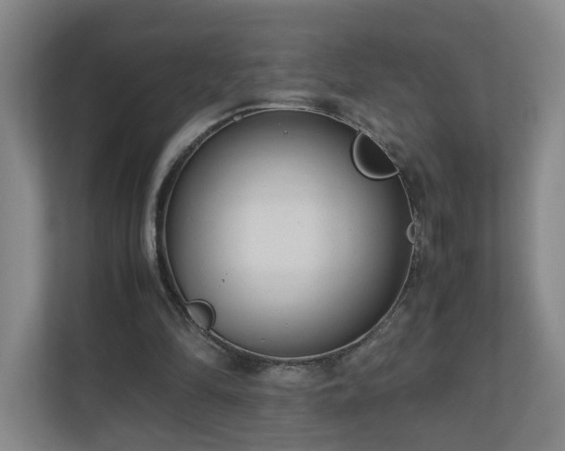 X0000110950294200906191256