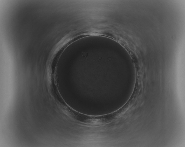 X0000110950295200906191256