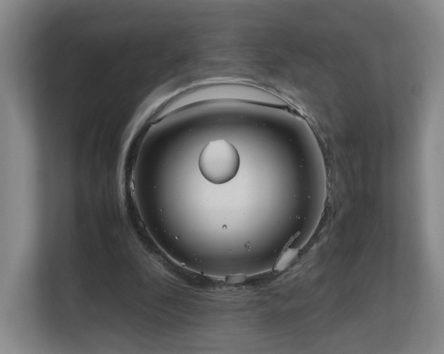 X0000110950296200906191256
