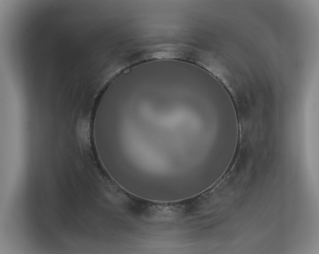 X0000110950297200906191256