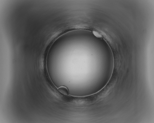 X0000110950299200906191256