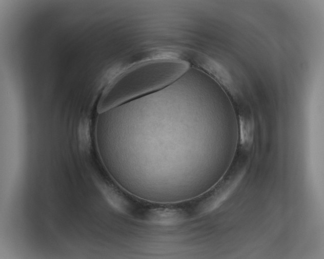 X0000110950300200906191256