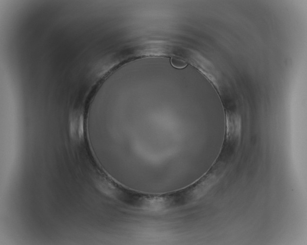 X0000110950301200906191256