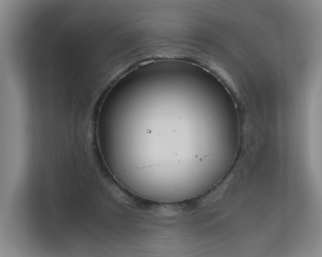 X0000110950305200906191256