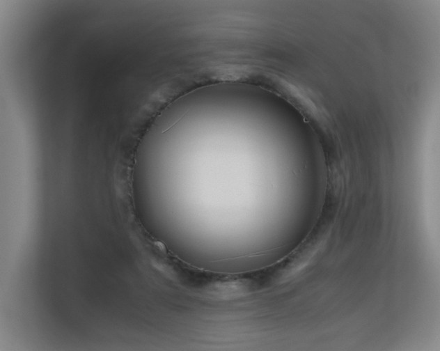 X0000110950307200906191256