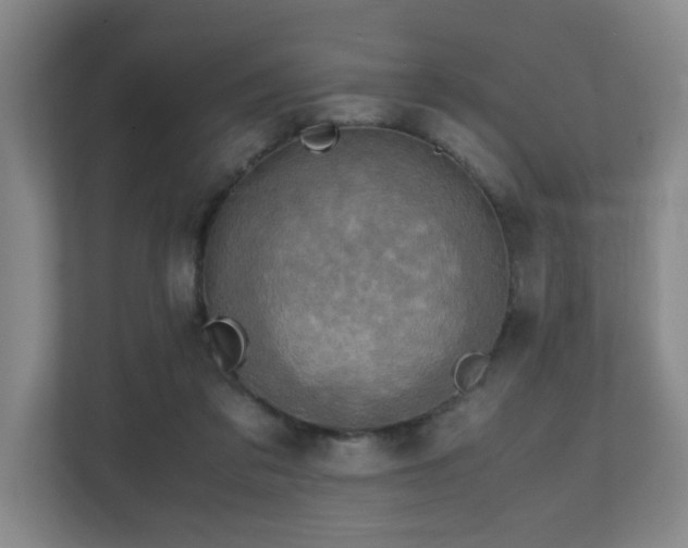 X0000110950309200906191256