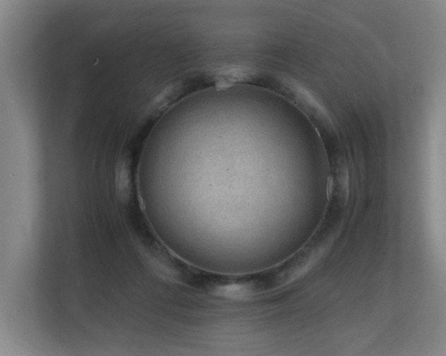 X0000110950312200906191256
