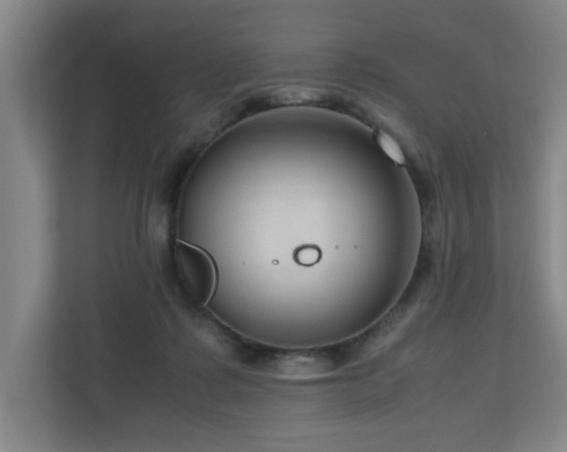 X0000110950315200906191256