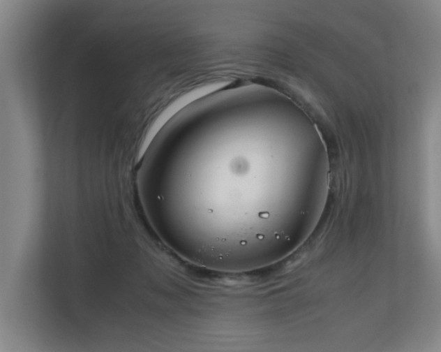 X0000110950317200906191256