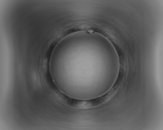 X0000110950319200906191256