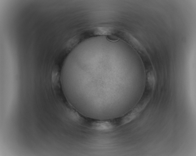 X0000110950322200906191256