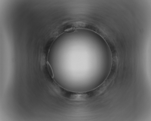 X0000110950323200906191256