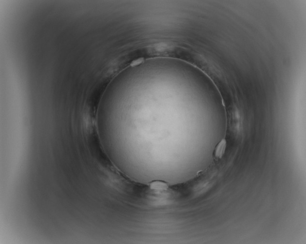 X0000110950324200906191256
