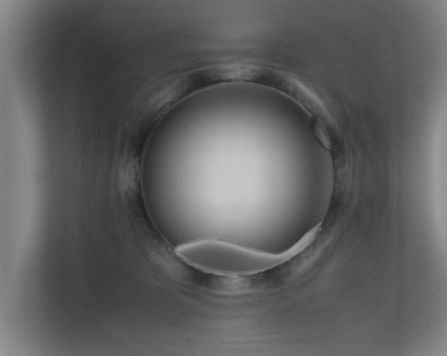 X0000110950325200906191256