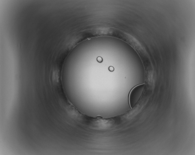 X0000110950326200906191256