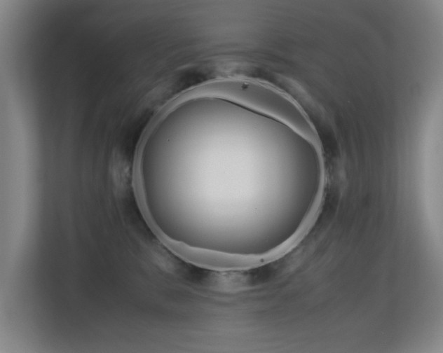 X0000110950327200906191256