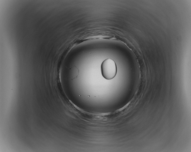 X0000110950328200906191255