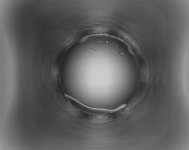 X0000110950329200906191255