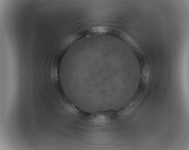 X0000110950330200906191255