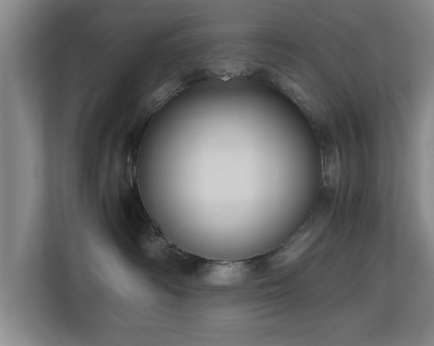 X0000110950334200906191255