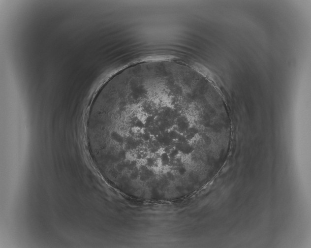 X0000110950337200906191255