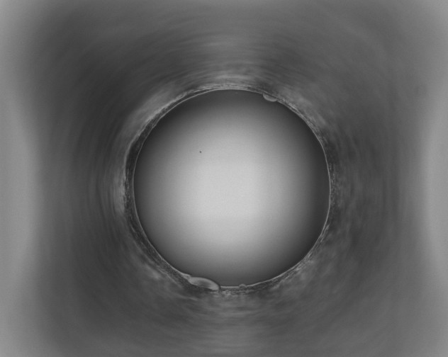 X0000110950338200906191255