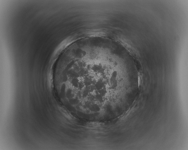 X0000110950339200906191255
