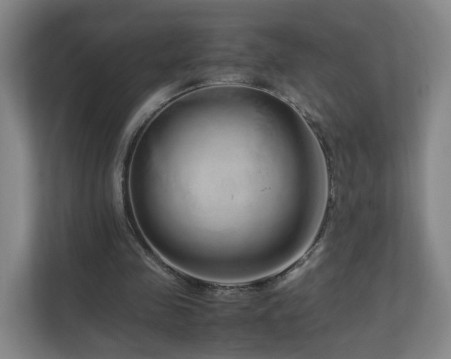 X0000110950341200906191255