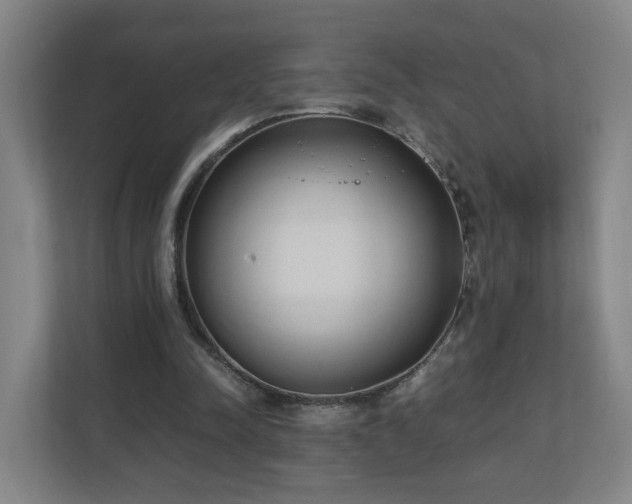 X0000110950342200906191255