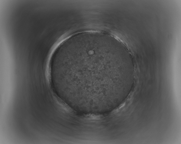 X0000110950343200906191255
