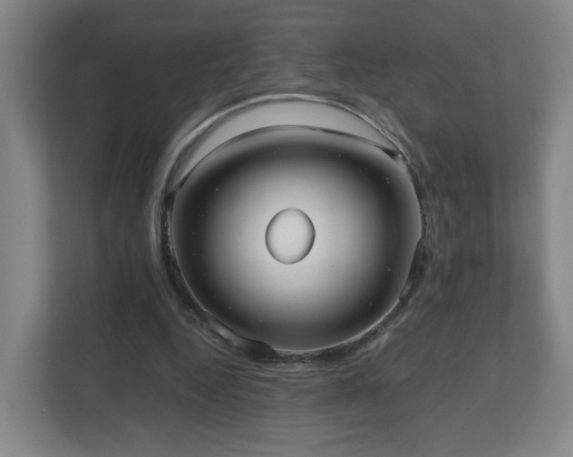 X0000110950344200906191255
