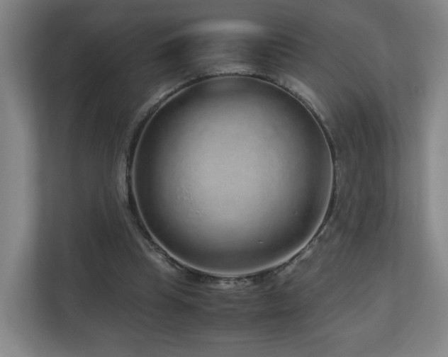 X0000110950345200906191255