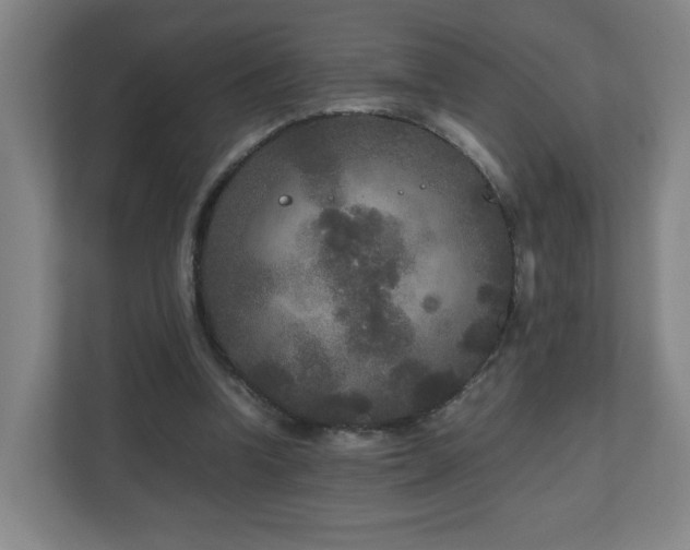 X0000110950346200906191255