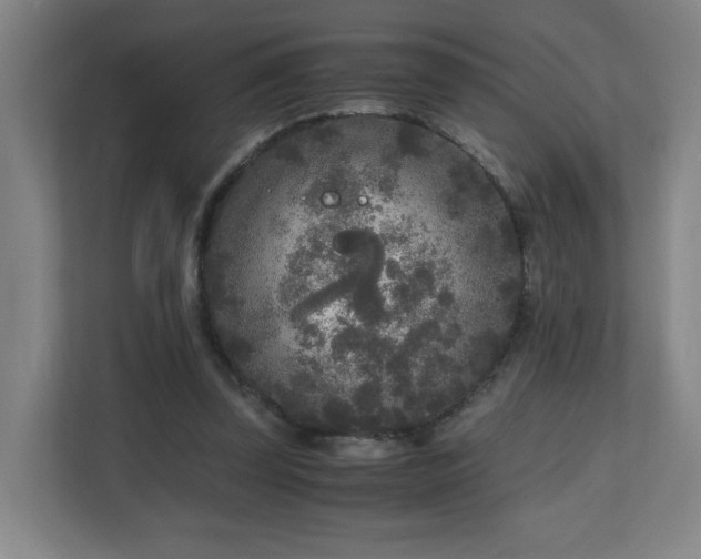 X0000110950347200906191255