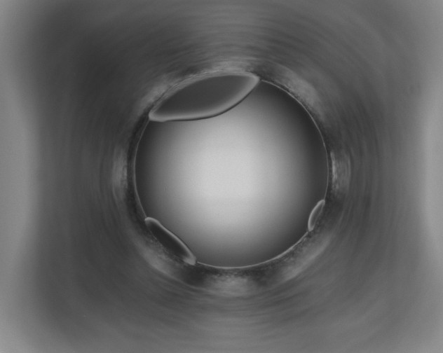 X0000110950348200906191255