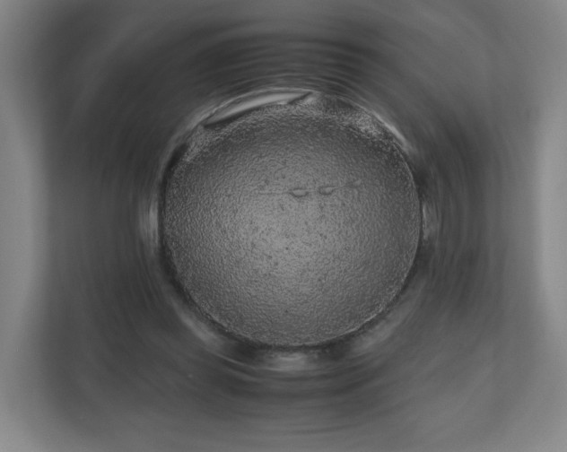 X0000110950349200906191255
