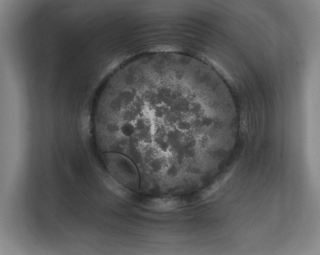 X0000110950351200906191255