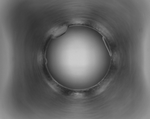 X0000110950352200906191255