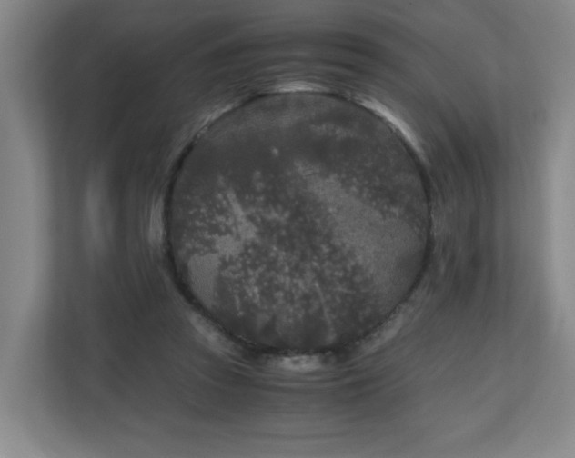 X0000110950353200906191255