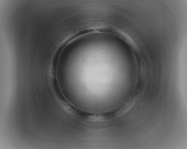 X0000110950354200906191255