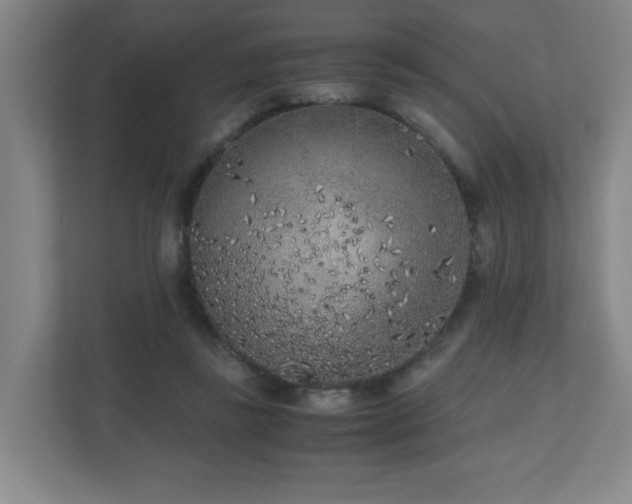 X0000110950355200906191255