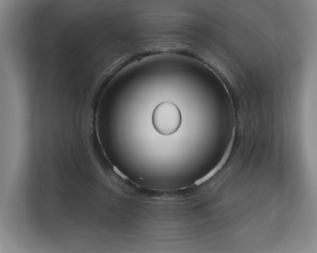 X0000110950356200906191255